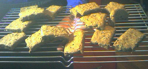 A cooling rack with about 16 lumpy biscuits on it